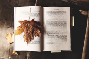 Blog