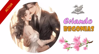 Begonias – 43